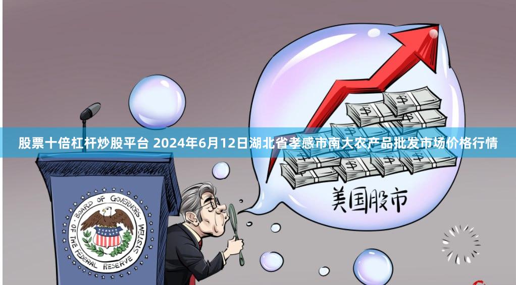 股票十倍杠杆炒股平台 2024年6月12日湖北省孝感市南大农产品批发市场价格行情