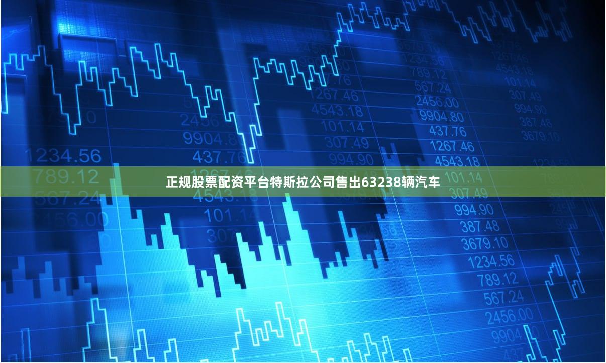 正规股票配资平台特斯拉公司售出63238辆汽车
