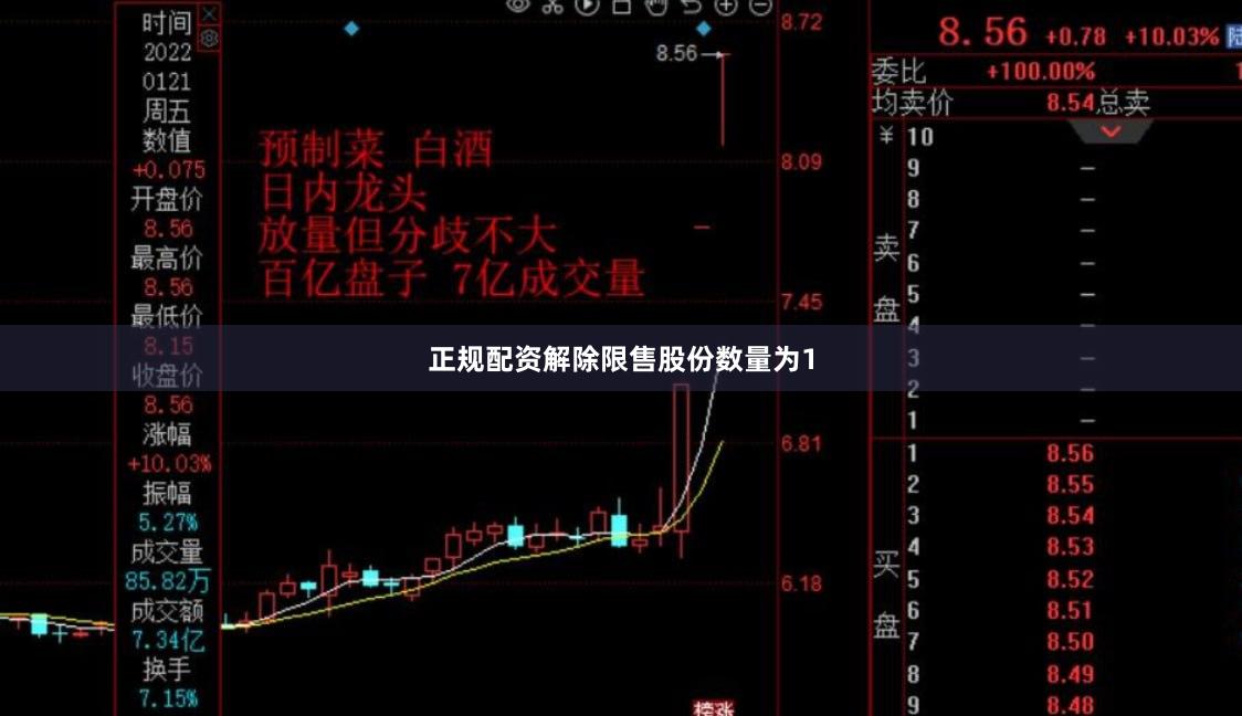 正规配资解除限售股份数量为1